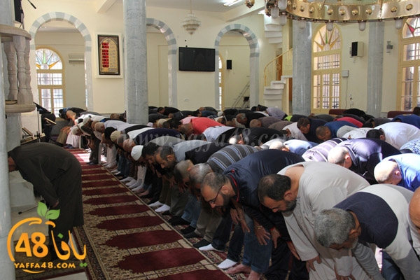 Kosoof salah (4).JPG